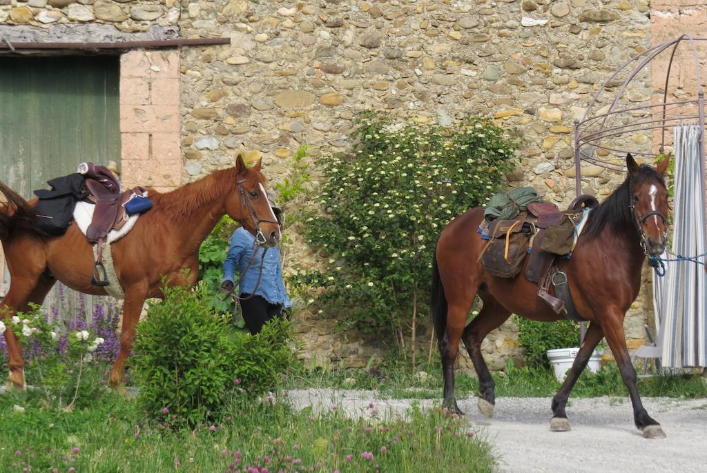 Laragne Les Gites D'Eliane מראה חיצוני תמונה