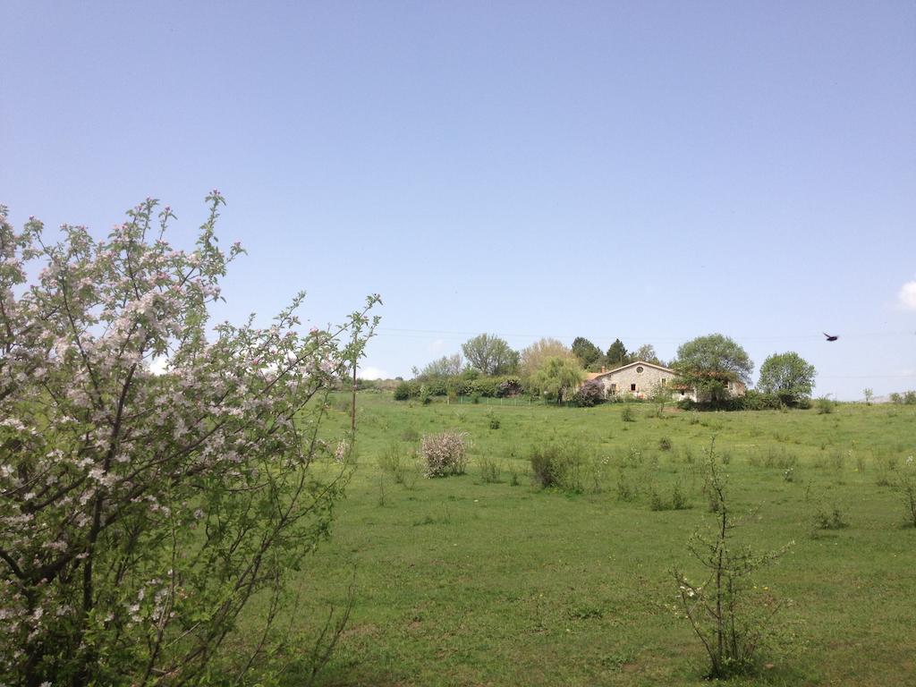 Laragne Les Gites D'Eliane מראה חיצוני תמונה
