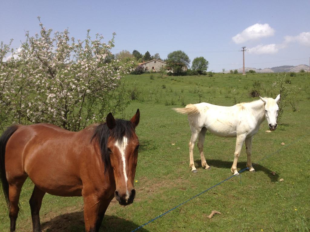 Laragne Les Gites D'Eliane מראה חיצוני תמונה